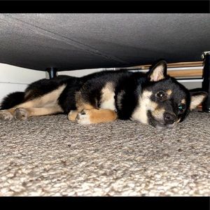 Meet your Posher, Jorge